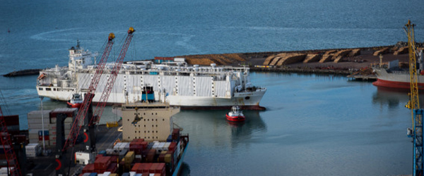 Live export: Close-up with a bad trade