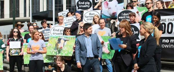 Largest petition in five years handed in to Parliament