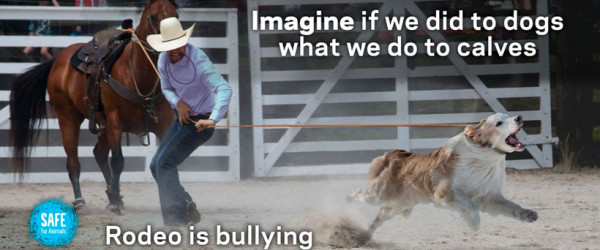 Hard-hitting anti-rodeo ad goes nationwide