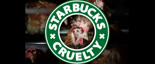 Starbucks target of global campaign
