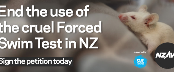 NZAVS appalled that thousands of animals are subjected to flawed research