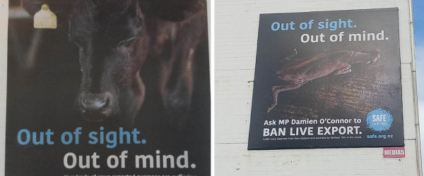 Action on live export unavoidable