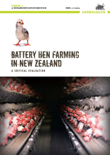 Battery Hen Farming in New Zealand