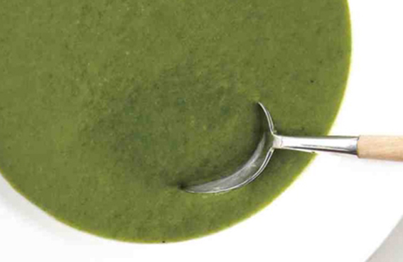 Cream of Spinach