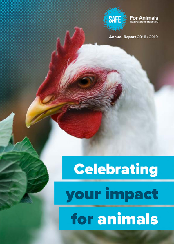 Annual Report 2018 - 2019