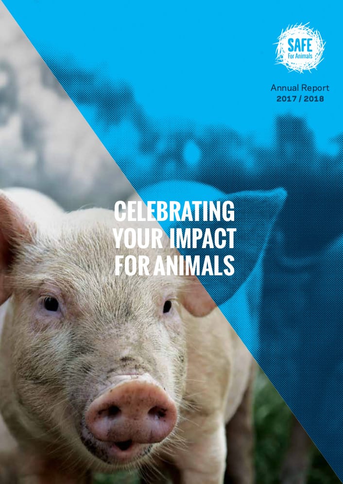 Annual Report 2017 - 2018