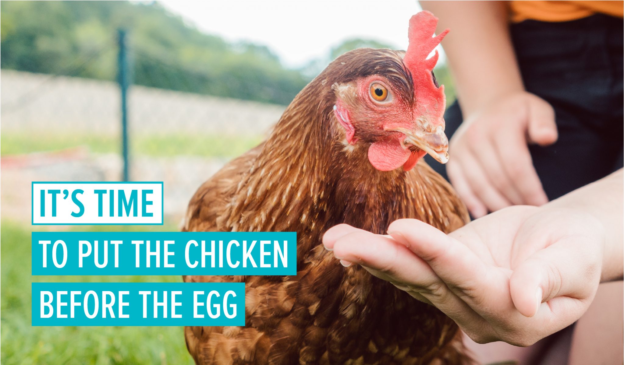 It’s time for the Government to tell the egg industry what it needed to hear in 2012: “No more cages.”