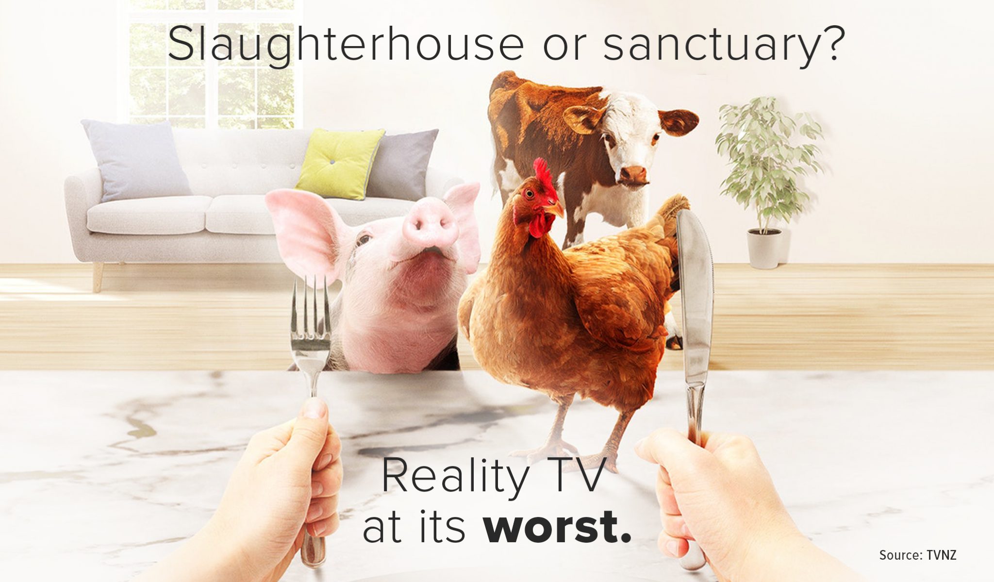 Slaughterhouse or sanctuary? – Reality TV at its worst