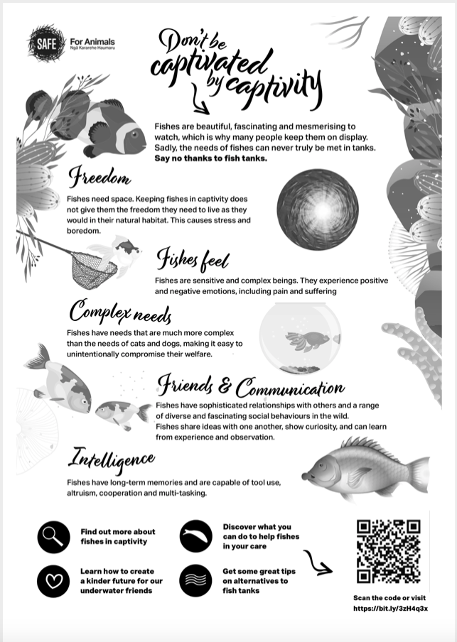 Black and white infographic