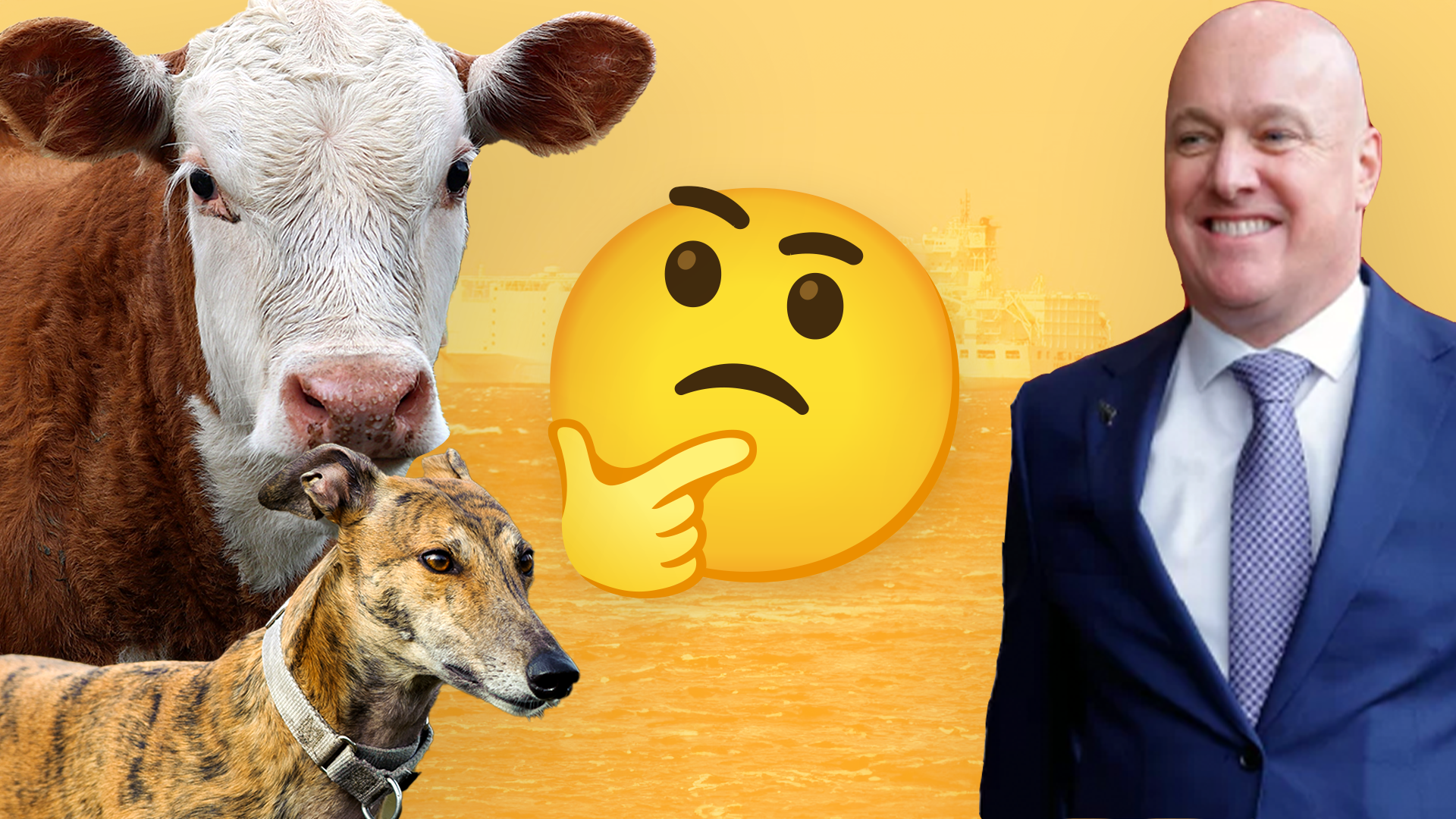 What does the change in Government mean for Aotearoa’s animals?