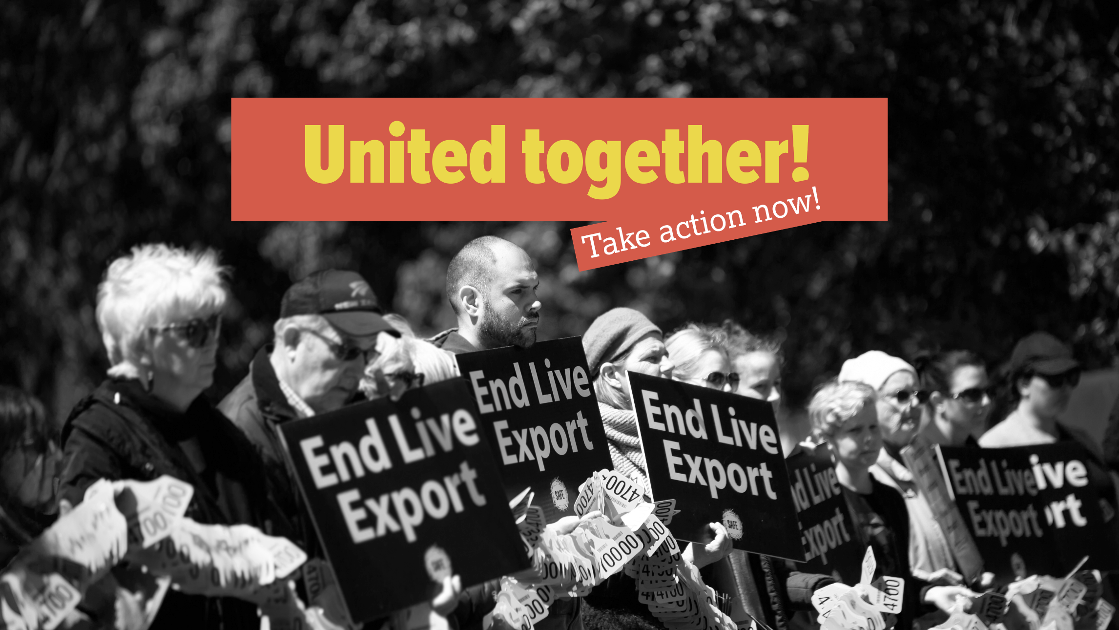 What else can I do to ensure the ban on live export is upheld in New Zealand?