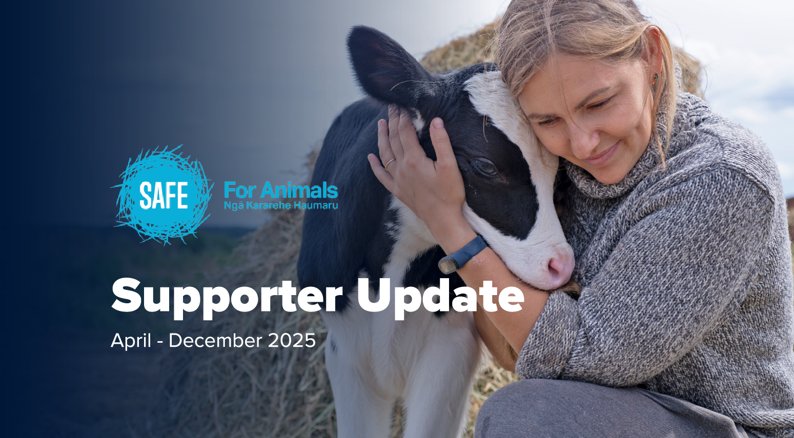 SAFE supporter update January 2026