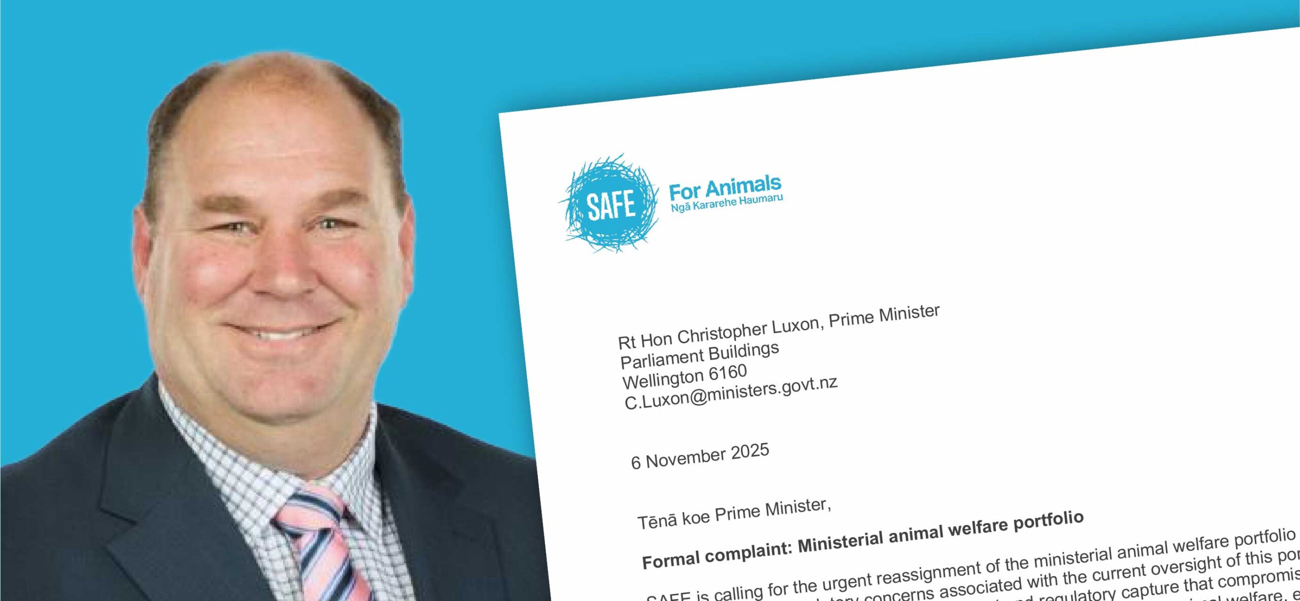 SAFE calls for removal of Andrew Hoggard from animal welfare role