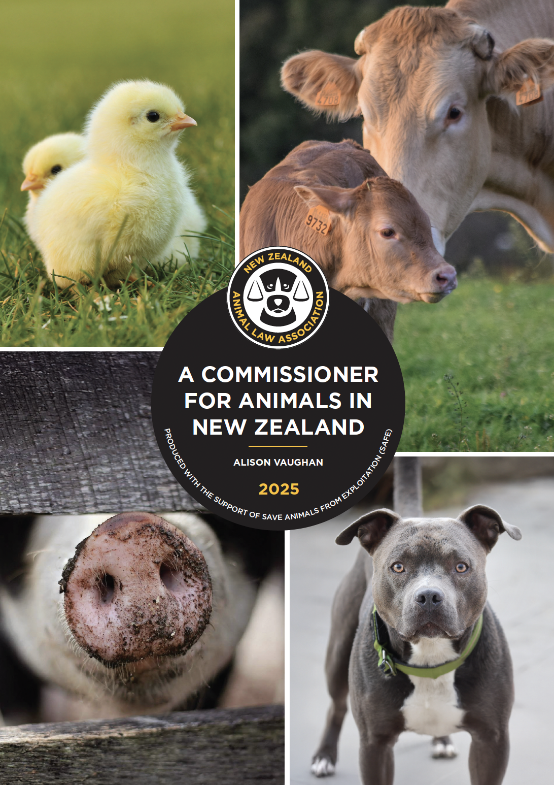 A Commissioner for Animals in New Zealand