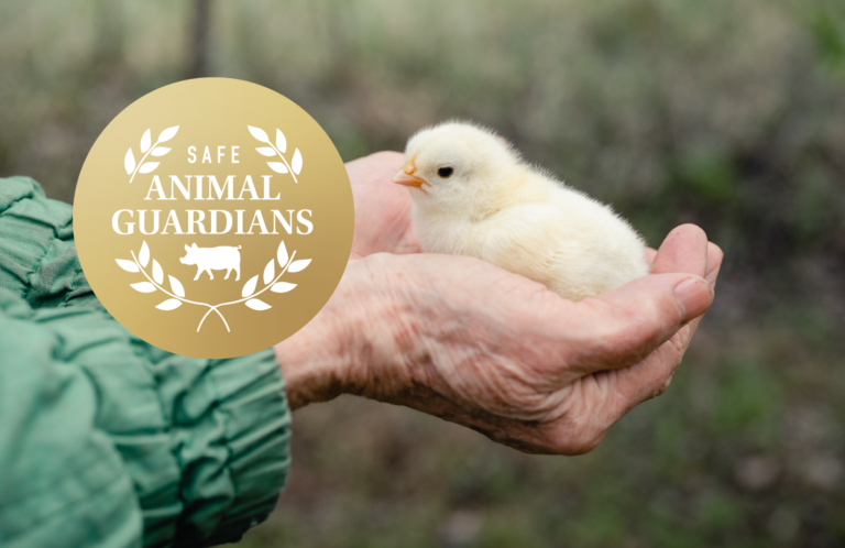 SAFE's Animal Guardians. Image of older hands with yellow chick supported inside them.