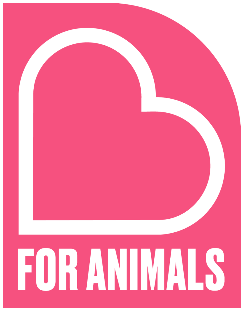 Heart for Animals - SAFE's regular donor programme.
