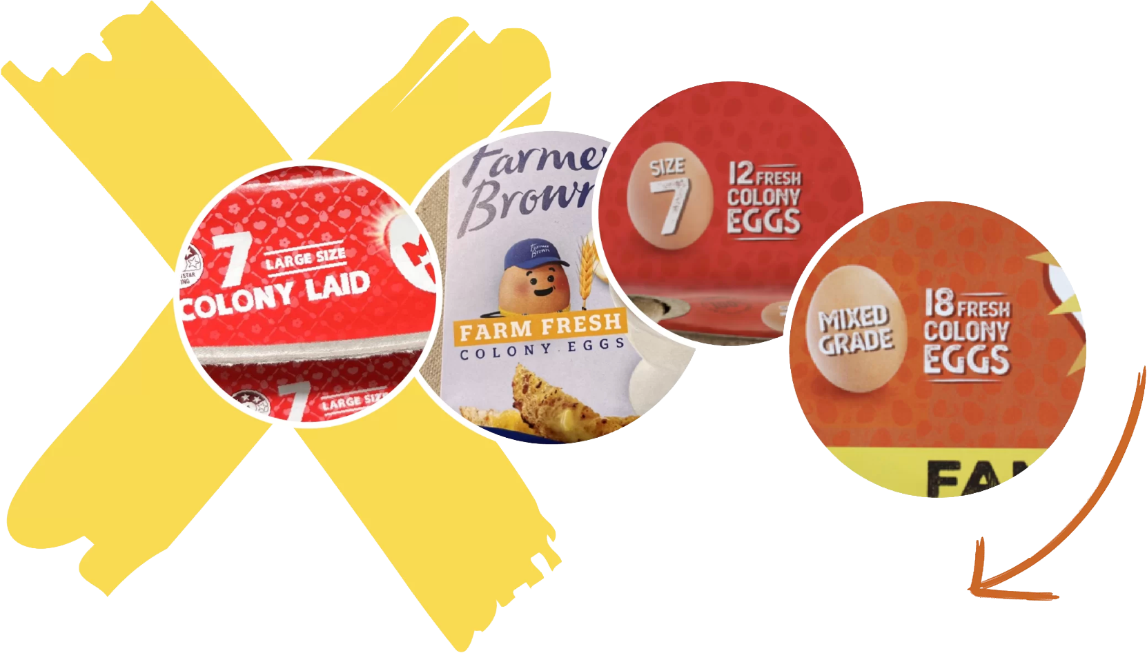 Graphic showing misleading egg labelling used by the egg industry.