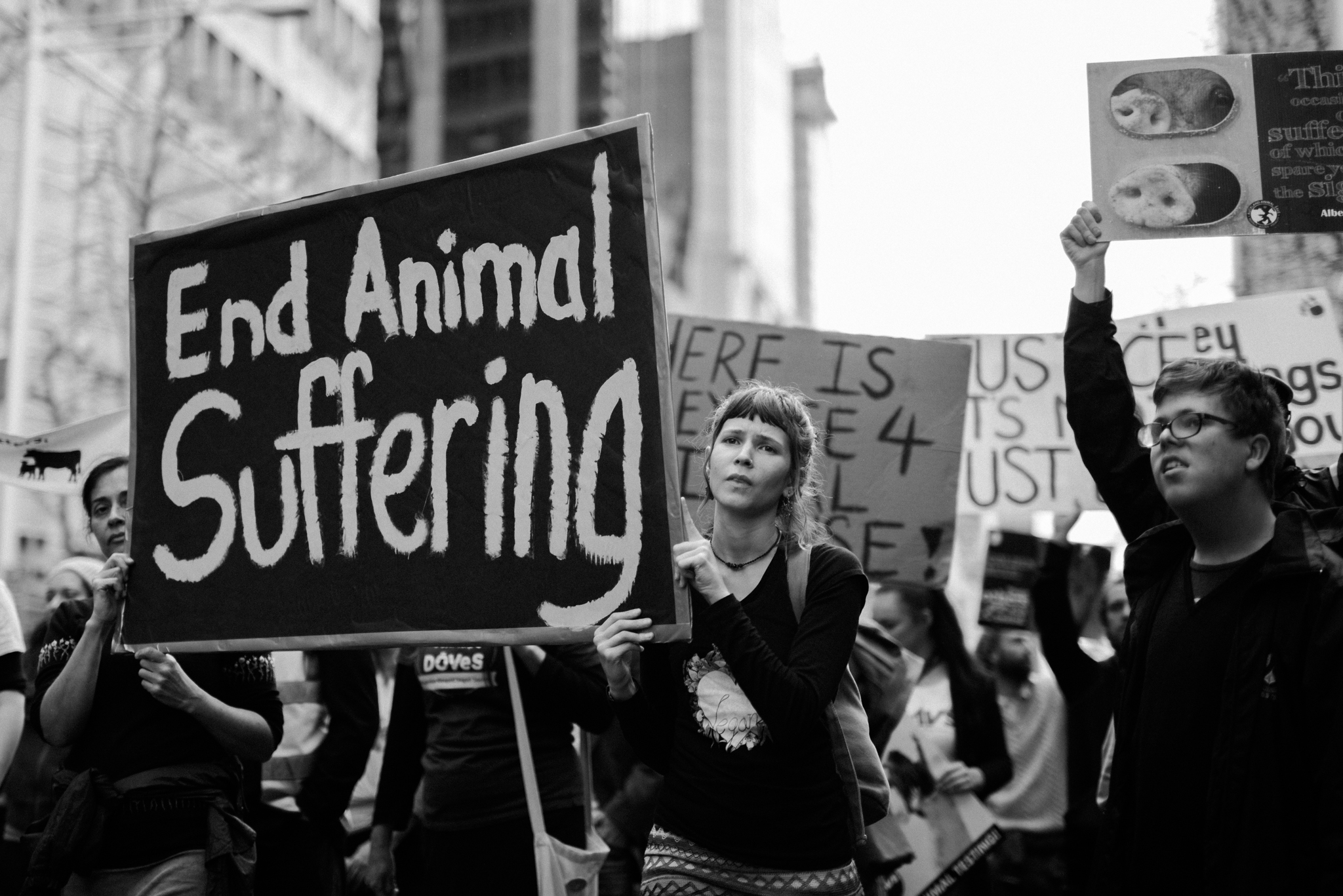 A History of New Zealand’s Animal Rights Movement