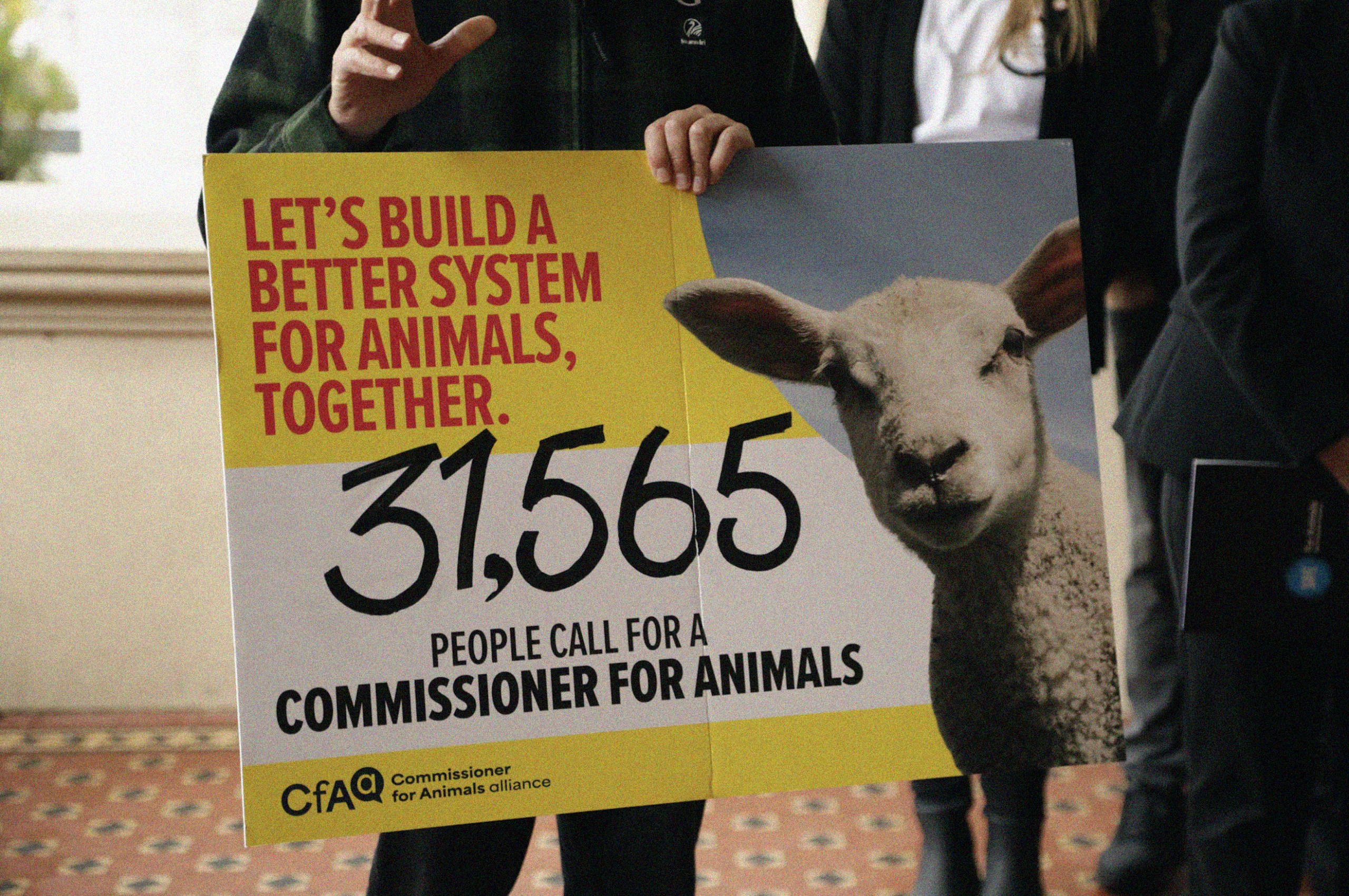 Commissioner for Animals petition New Zealand - SAFE for Animals