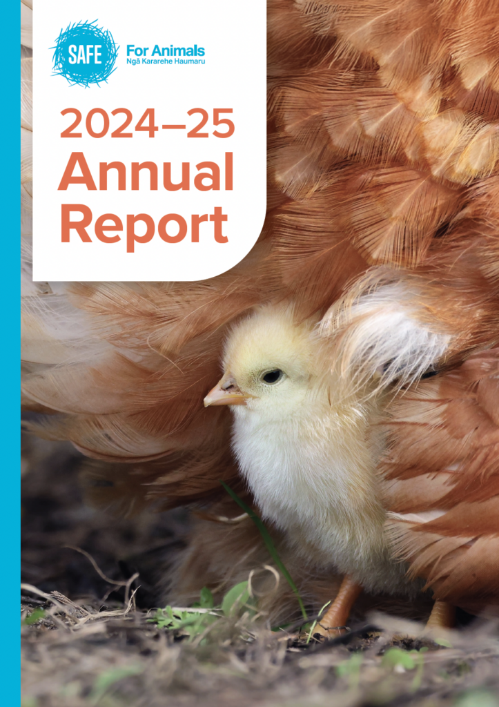 SAFE for Animals Annual Report 24-25
