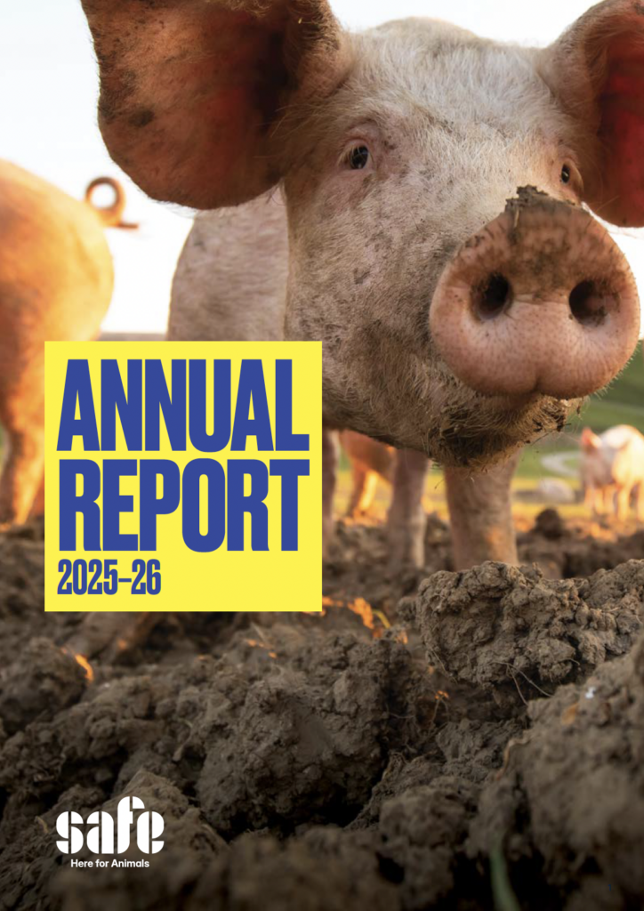 SAFE for Animals Annual Report 25-26