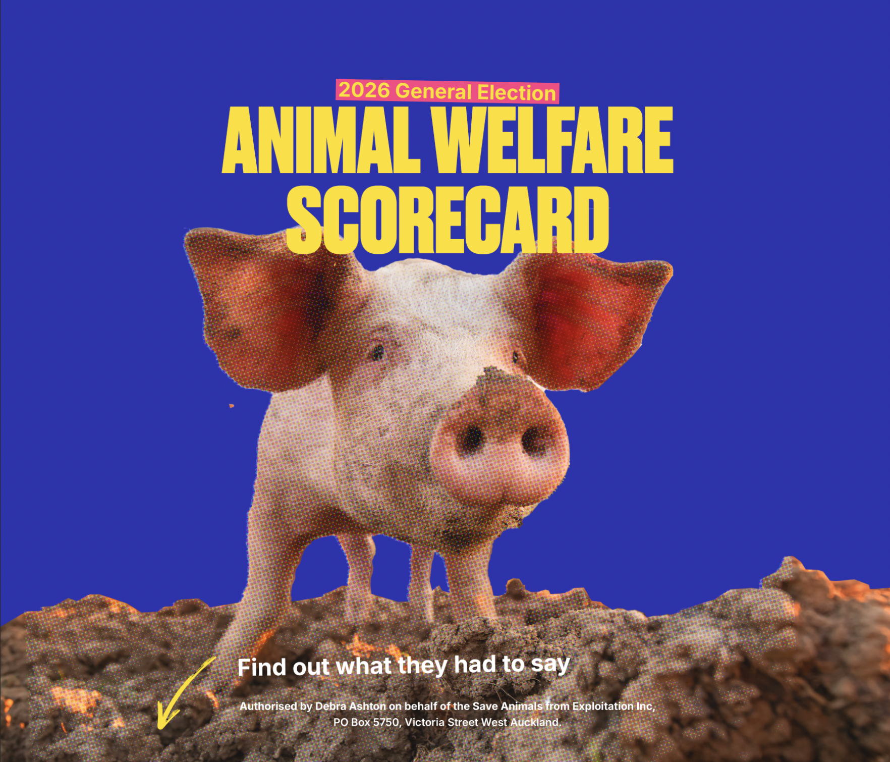 2026 election animal welfare political scorecard - SAFE for Animals
